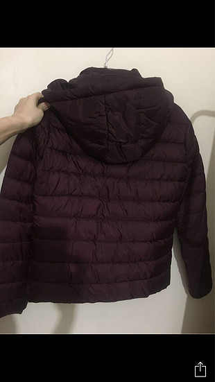 Koton Mont