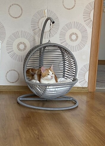 KEDİ SALİNCAGİ 