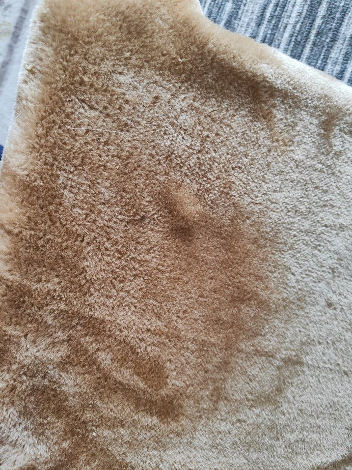 Bej Renkli Düz Yumuşak kedi yatağı - Görsel 4