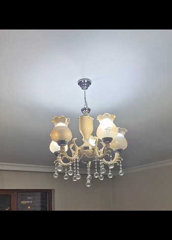 salon avizesi