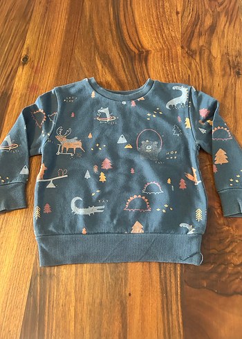 Erkek Çocuk Baskılı Sweatshirt - Görsel 4