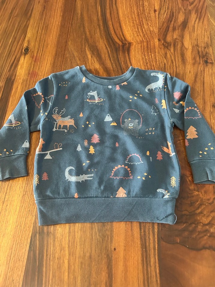 Erkek Çocuk Baskılı Sweatshirt - Görsel 4