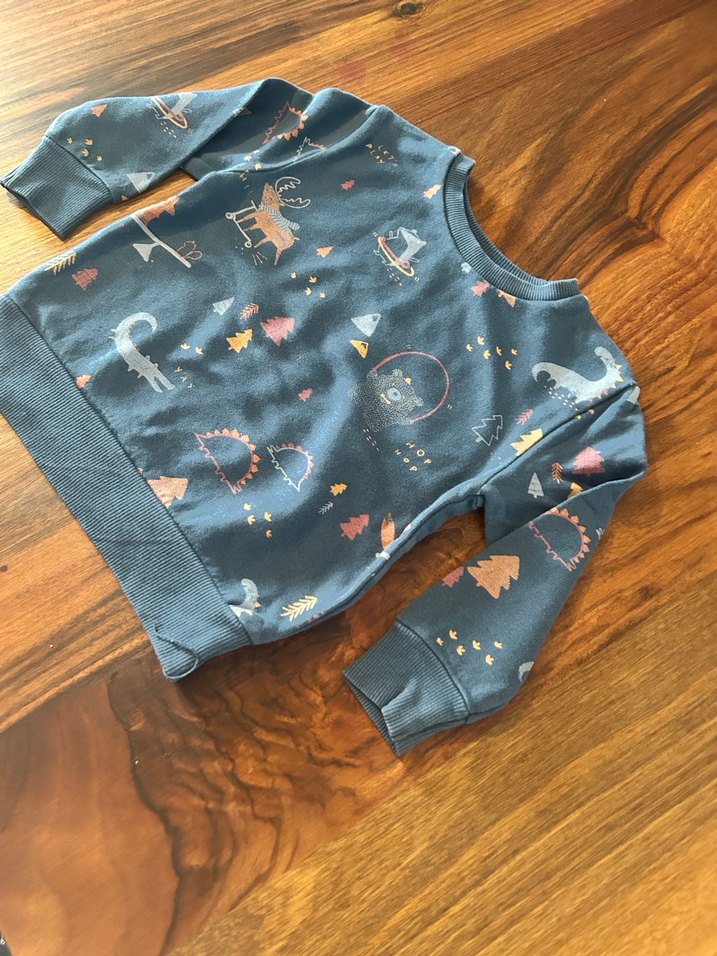 Erkek Çocuk Baskılı Sweatshirt - Görsel 2