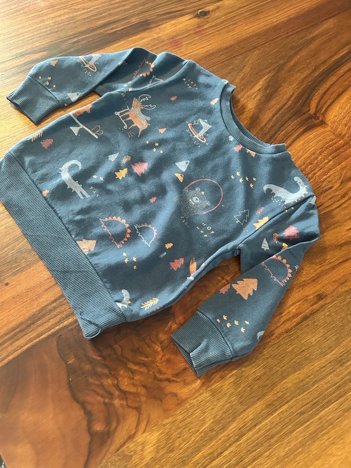 Erkek Çocuk Baskılı Sweatshirt - Görsel 3