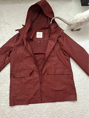 Bordo L pull and bear yağmurluk