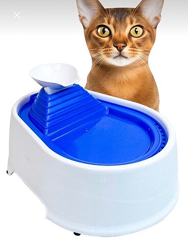 Kedi Su Pınarı