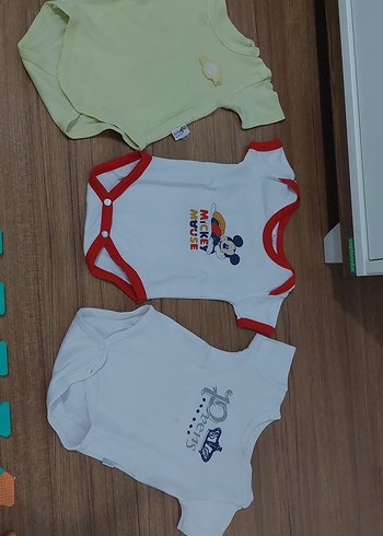 Walt Disney World 6 Ay