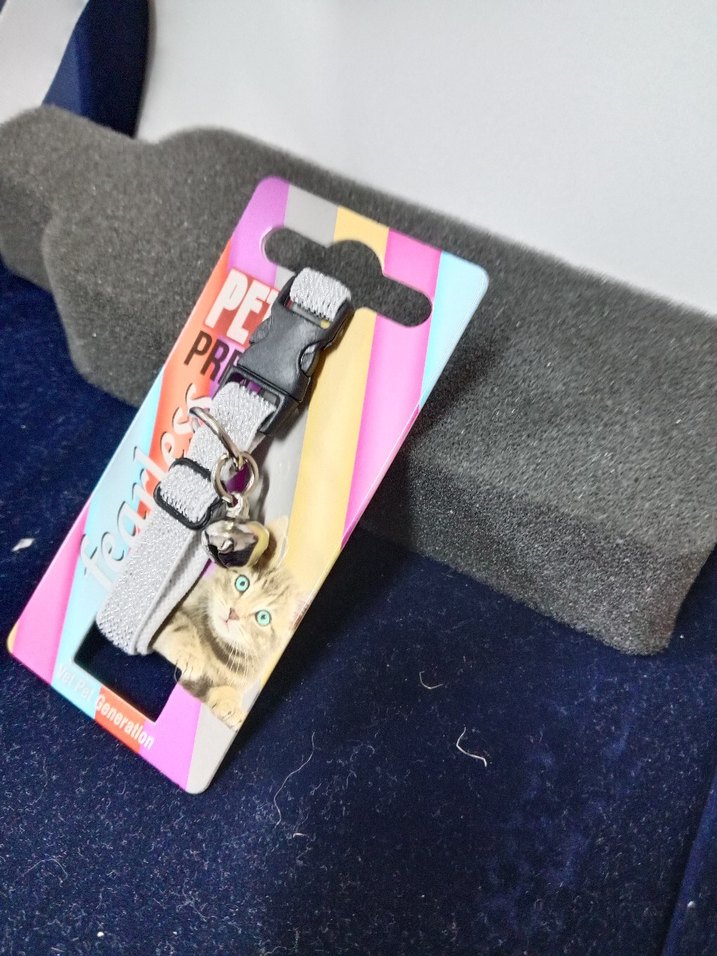 Gri Kedi Boyun Tasması Çanlı - Görsel 2