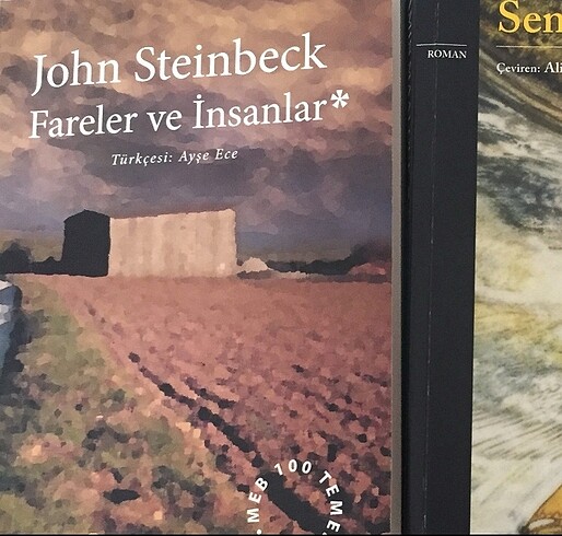 Fareler ve insanlar