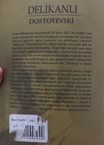 Delikanlı - Dostoyevski - Görsel 2