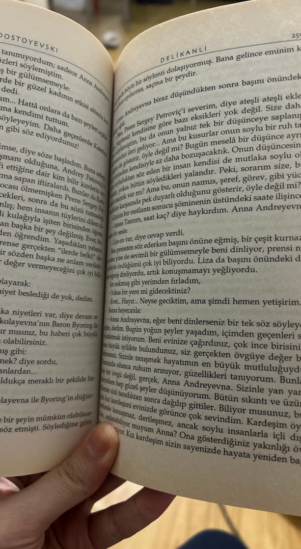 Delikanlı - Dostoyevski - Görsel 3