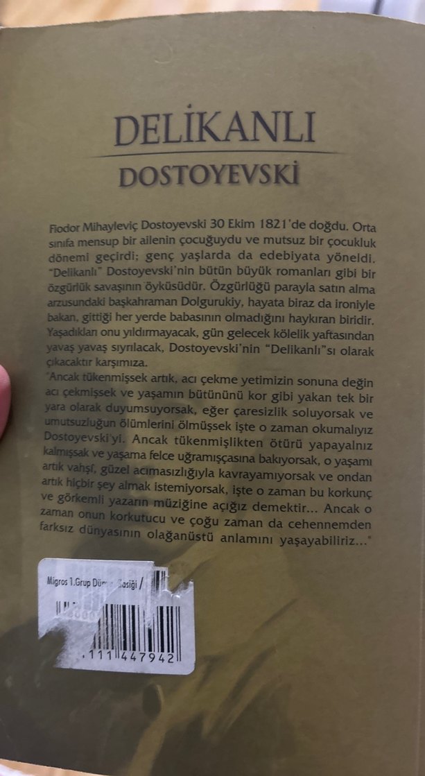 Delikanlı - Dostoyevski - Görsel 2