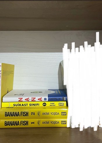 MANGA FİYATLARI AÇIKLAMADA