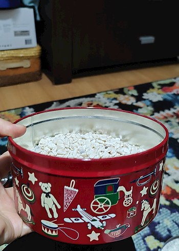 Deniz kabuğu - Görsel 3