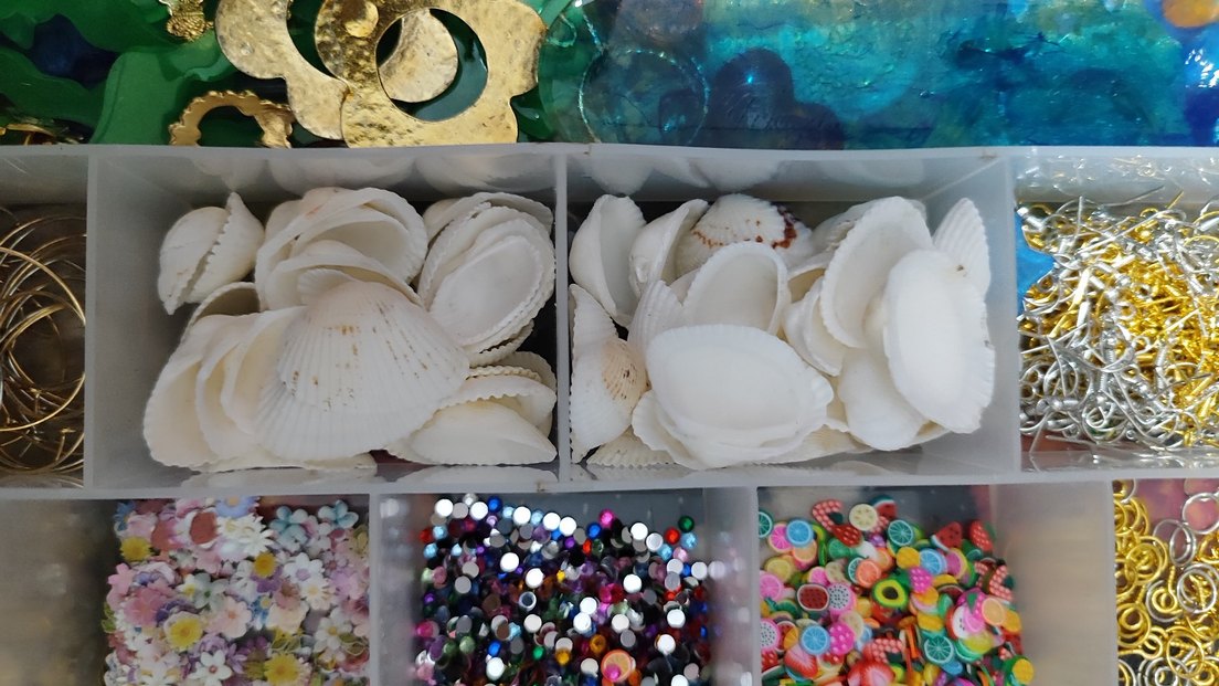 Deniz kabuğu - Görsel 4