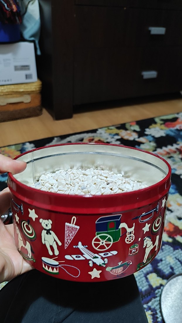 Deniz kabuğu - Görsel 3