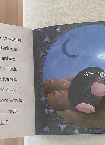 Ayı Kim Çaldi okuma kitabi - Görsel 2