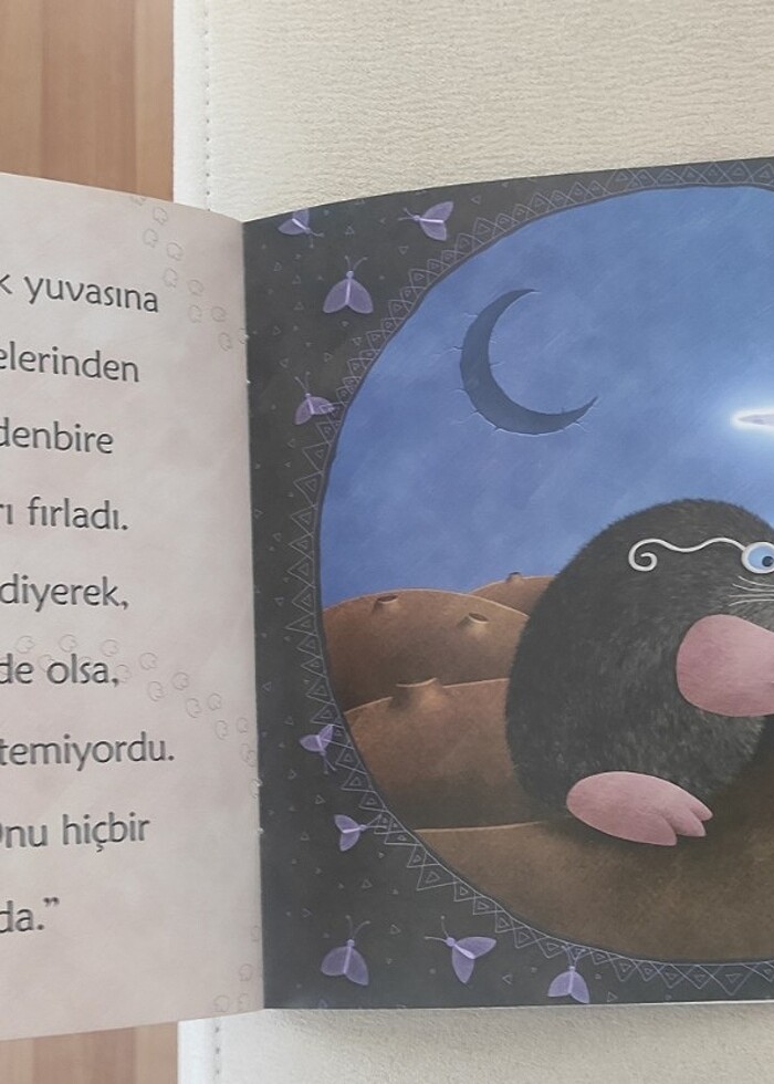 Ayı Kim Çaldi okuma kitabi - Görsel 2