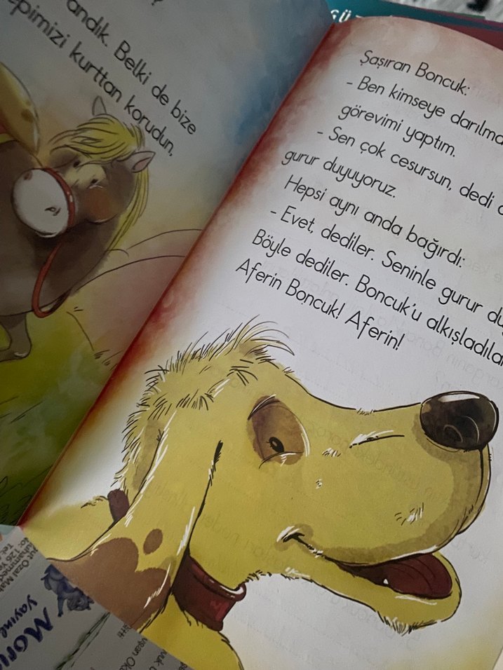 1. Sınıf Çocuklar için resimli hikaye kitapları seti - Görsel 5