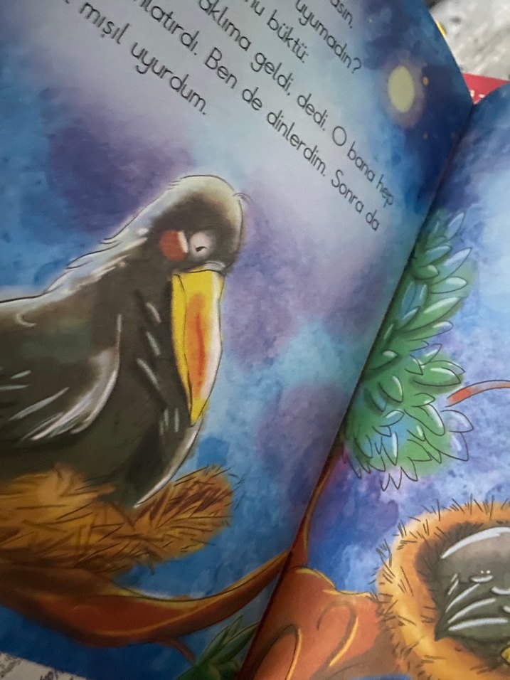 1. Sınıf Çocuklar için resimli hikaye kitapları seti - Görsel 4