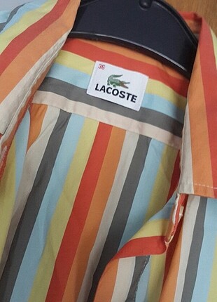 Lacoste gömlek 