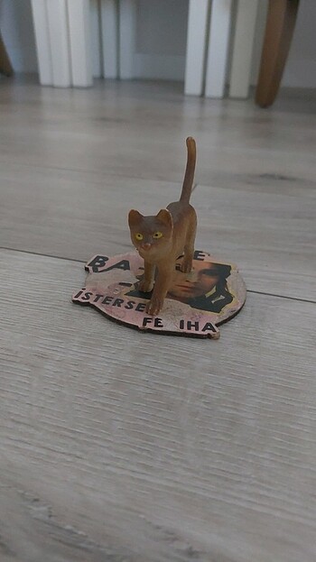 Kedi figürü