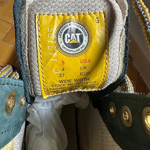 37 Beden Cat Bot