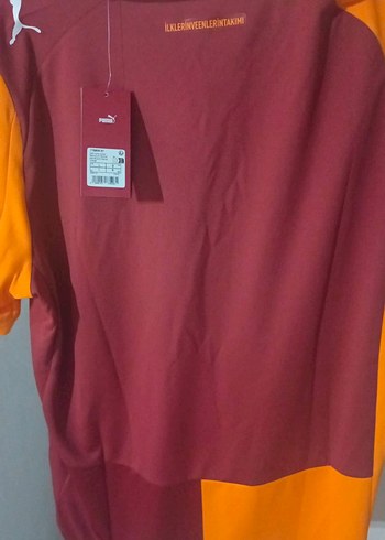 Galatasaray Erkek Kısa Kollu Forma - Görsel 8