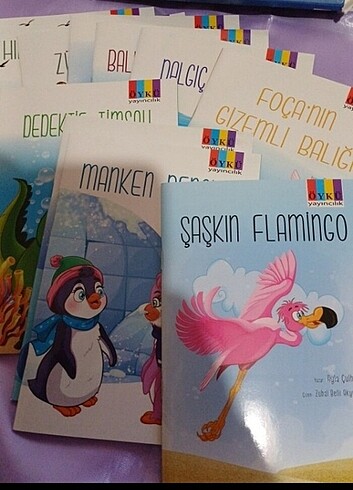 Beden Renk Flamingo Serisi