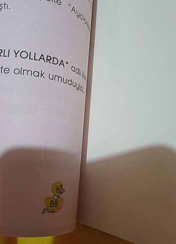 Yapraklar Güneşe Bakar Öykü Dizisi - Görsel 4