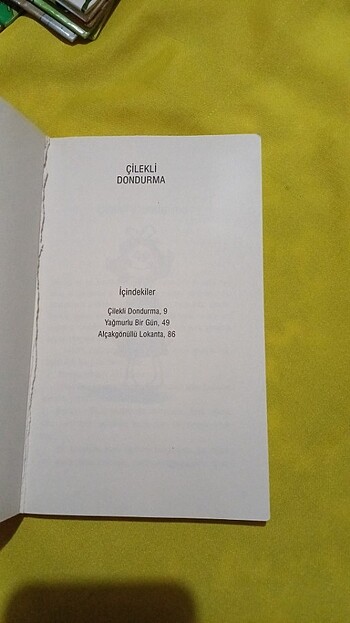 Çilekli Dondurma - Görsel 2