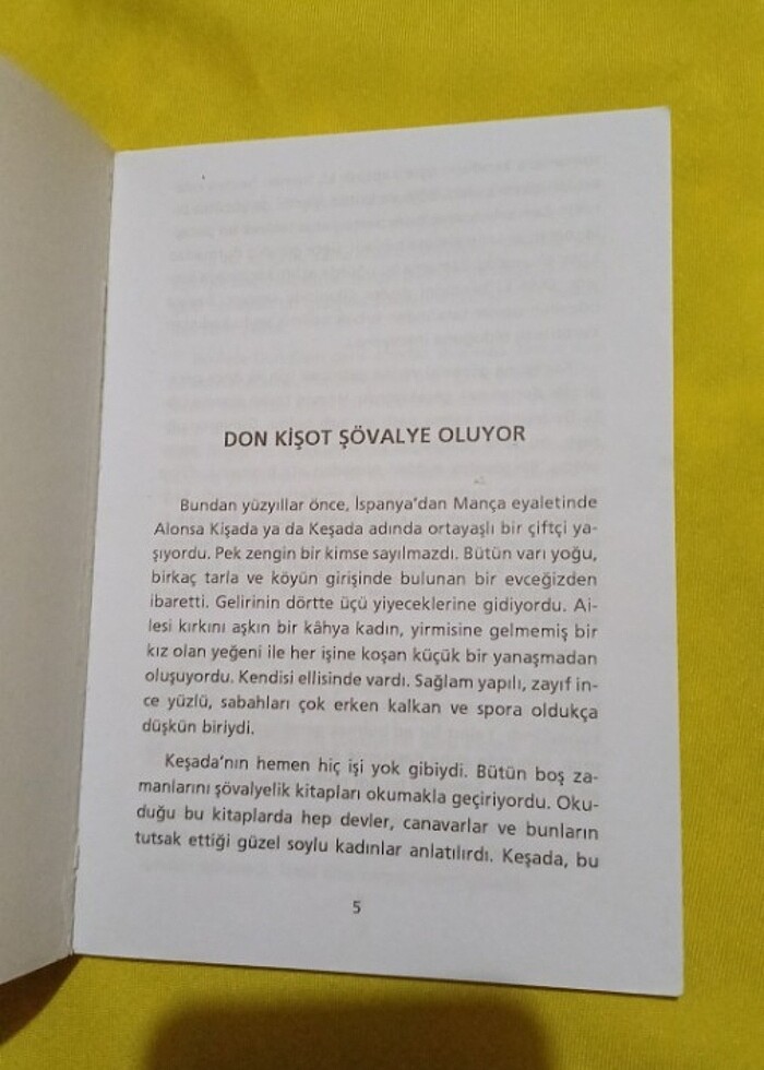 Don kişot - Görsel 2