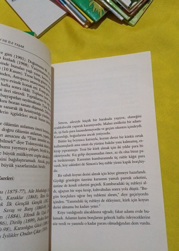 İnsan Ne ile Yaşar - Görsel 2