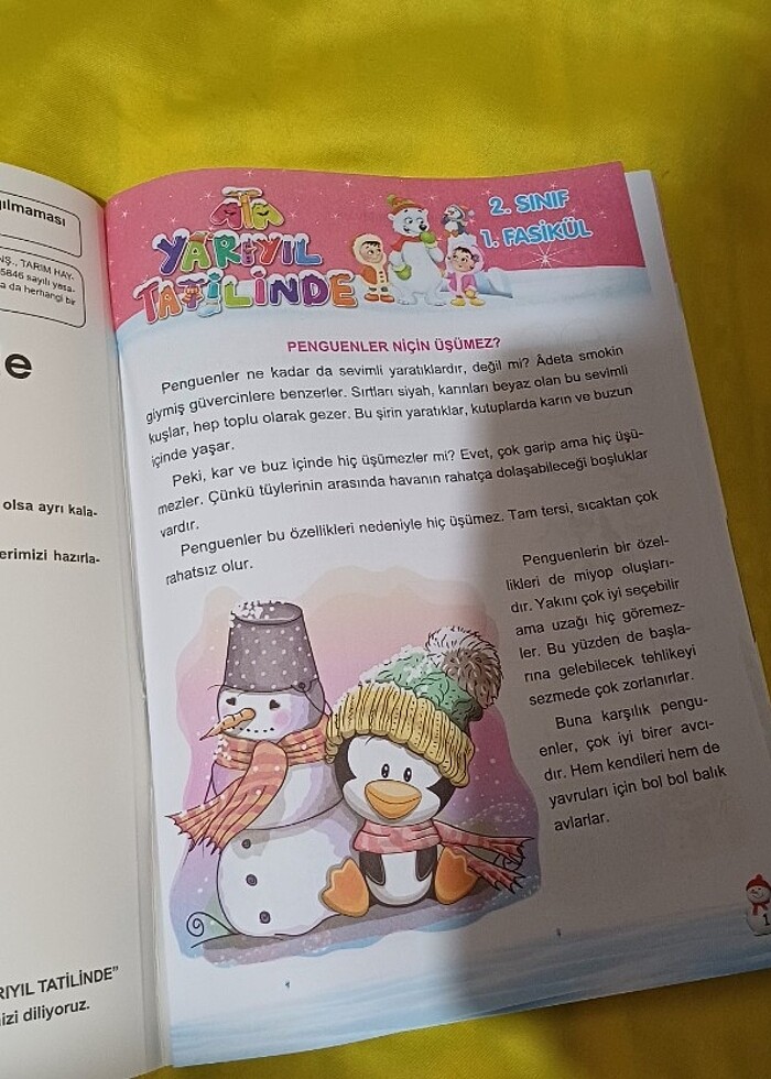 Ata yarıyıl tatilinde 2.sınıf - Görsel 3