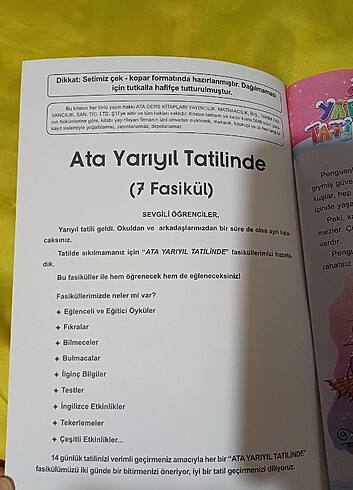 Ata yarıyıl tatilinde 2.sınıf - Görsel 2