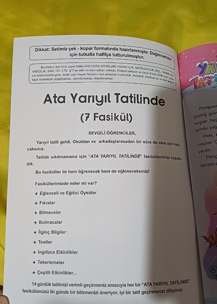 Ata yarıyıl tatilinde 2.sınıf - Görsel 2