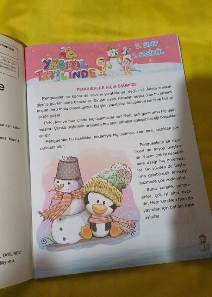 Ata yarıyıl tatilinde 2.sınıf tatil kitabı - Görsel 3