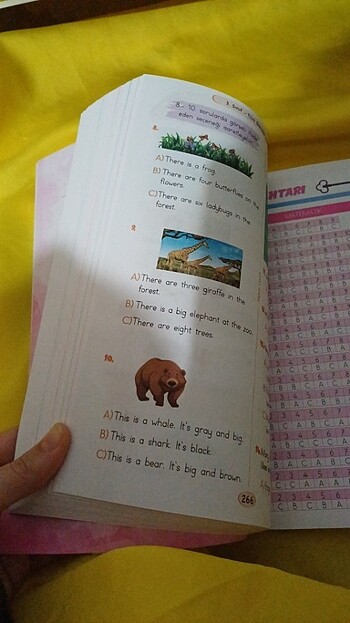 3.sınıf Tüm dersler soru bankası Hakim çocuk  - Görsel 6