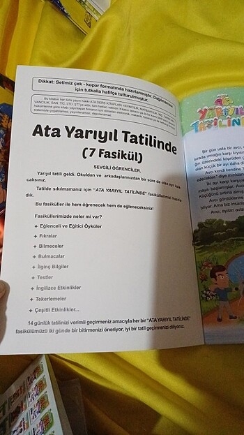 Ata yarıyıl tatilinde 3.sınıf tatil kitabı - Görsel 2