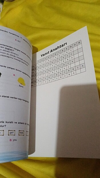 Ata yarıyıl tatilinde 3.sınıf tatil kitabı - Görsel 4