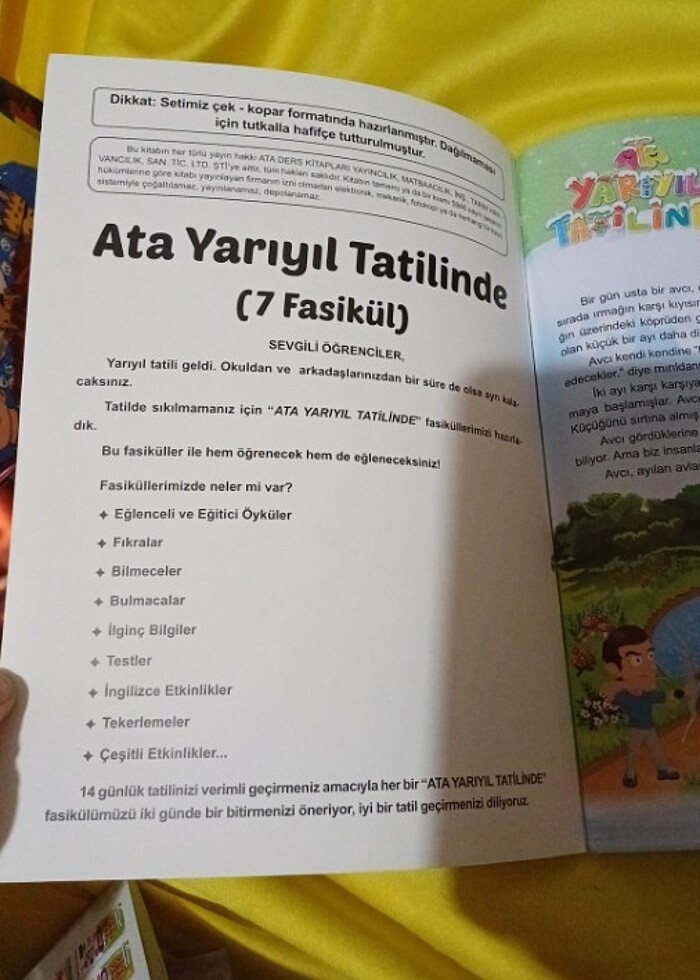 Ata yarıyıl tatilinde 3.sınıf tatil kitabı - Görsel 2
