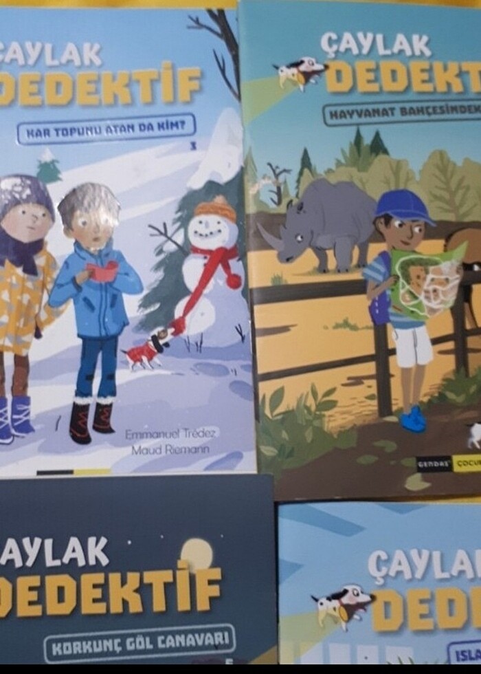 Çaylak Dedektif  5 adet kitap - Görsel 2