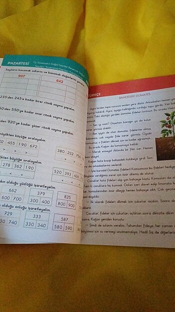 İlkokul 3.sınıf yarıyıl tatil kitabı Metafor - Görsel 3