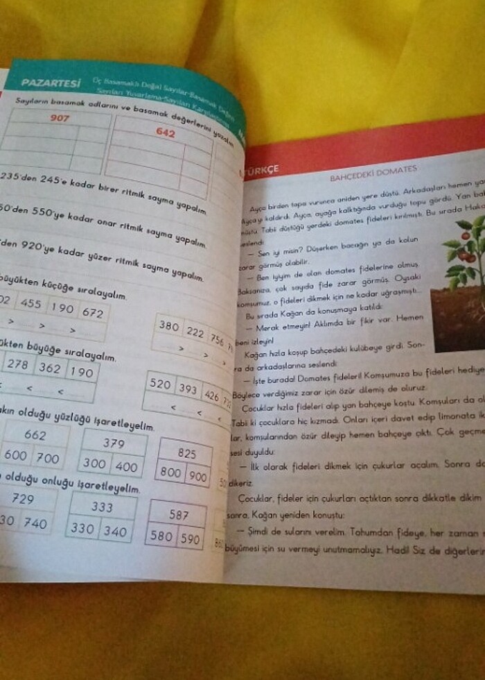 İlkokul 3.sınıf yarıyıl tatil kitabı Metafor - Görsel 3