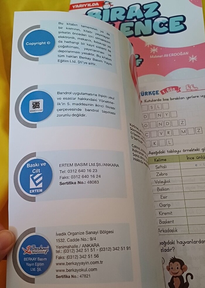 Biraz ders biraz eğlence 3.sınıf yarıyıl tatil kitabı - Görsel 2