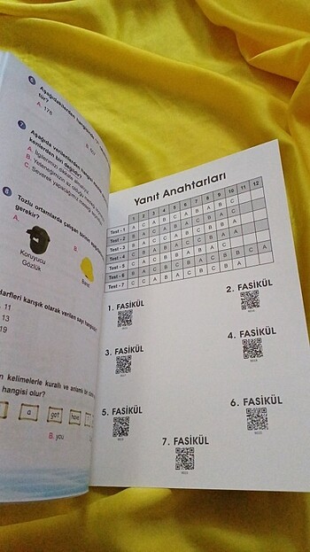 Ata yarıyıl tatilinde 3.sınıf - Görsel 6