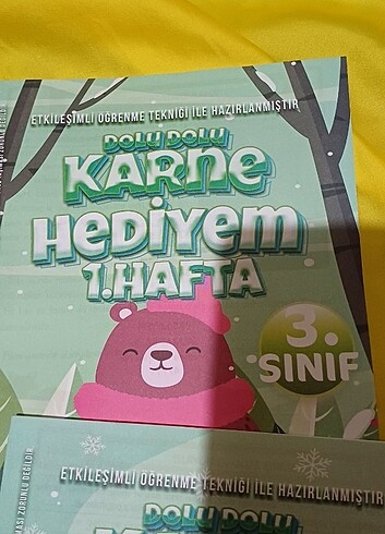 3.sınıf Yarıyıl tatil kitabı - Görsel 7