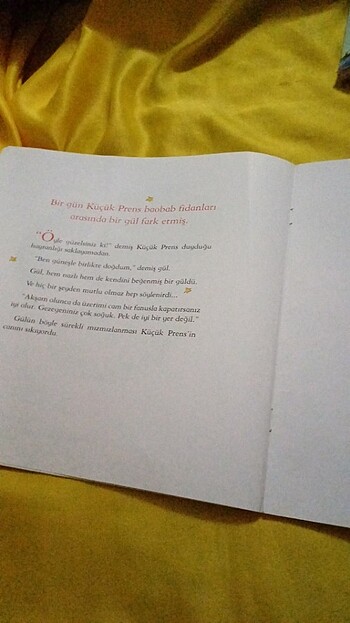 Küçük prens - Görsel 3