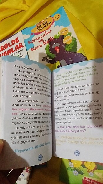 İlkokul 2.sınıf Seviyesi okuma kitabı - Görsel 11