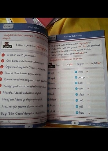 Türkçe Sevinci Hayat bilgisi ilkokul birinci sınıf - Görsel 4